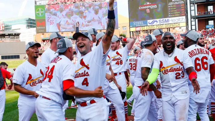 Silent Savior: The cheap signing that is quietly saving the Cardinals season