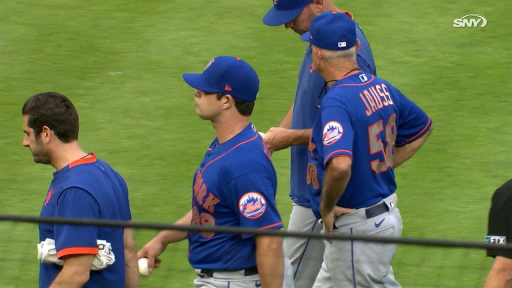 Injury Strikes Again: New York Mets Hit with Another Major Injury, Star Likely Out Until Season’s End