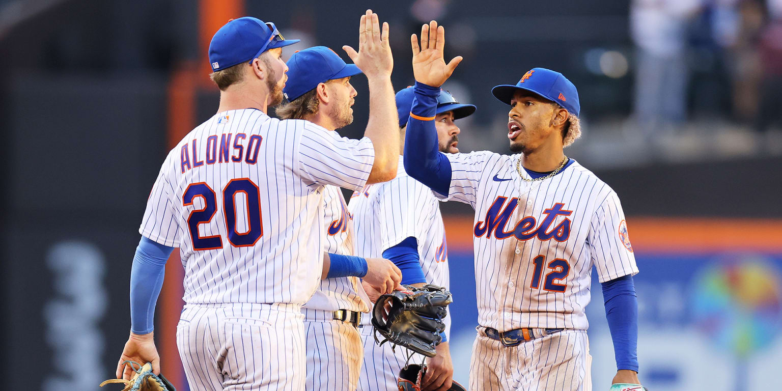 Mets Unleash a Power Play: “Mets Make Bold Move By Adding Key Reliever to Major League Roster—Game Changer Alert!”